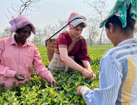 Photos: प्रियंका गांधी ने चाय बागान में मजदूरों संग तोड़ीं पत्तियां, कहा- इनसे मिला प्यार नहीं भूलूंगी