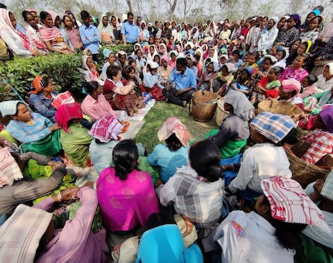 Photos: प्रियंका गांधी ने चाय बागान में मजदूरों संग तोड़ीं पत्तियां, कहा- इनसे मिला प्यार नहीं भूलूंगी