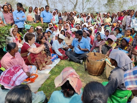Photos: प्रियंका गांधी ने चाय बागान में मजदूरों संग तोड़ीं पत्तियां, कहा- इनसे मिला प्यार नहीं भूलूंगी
