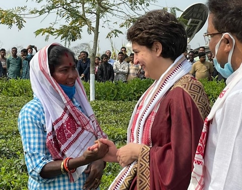 Photos: प्रियंका गांधी ने चाय बागान में मजदूरों संग तोड़ीं पत्तियां, कहा- इनसे मिला प्यार नहीं भूलूंगी