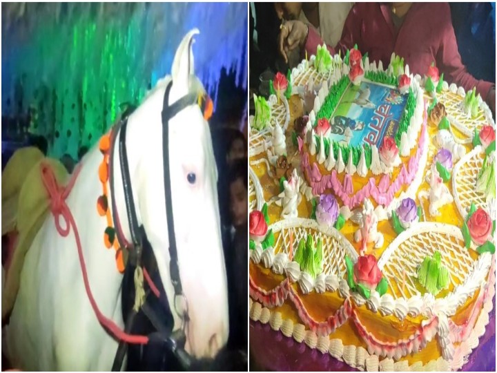 Eid al-Adha people of Muslim National Forum cut the goat made up of cake on  the occasion of Bakrid - लखनऊ: मुस्लिम राष्ट्रीय मंच ने बकरीद के मौक पर  काटा 'बकरा केक' ,