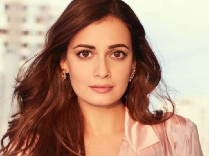 दिया मिर्जा ने बोर्न फ्री एंटरटेनमेंट की शुरुआत अपने पूर्व पति साहिल सांघा के साथ की. उन्होंने लव ब्रेकअप जिंदगी, बॉबी, जासूस और माइंड द मल्होत्राज जैसे सीरीज और फिल्में प्रोड्यूस की.  