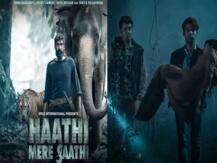 Roohi से लेकर Haathi Mere Saathi तक, मार्च महीने में ये 10 फिल्में होने जा रही हैं रिलीज़, डेट कर लें नोट