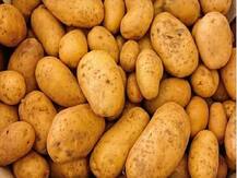 Health Tips: इन स्वास्थ्य समस्याओं से जूझ रहे हैं, तो आलू का सेवन बढ़ा सकता है आपकी परेशानी