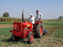 कृषि कानूनों के विरोध में किसान ने 10 बीघा गेहूं की फसल को किया नष्ट, बोले- खा लेंगे जहर