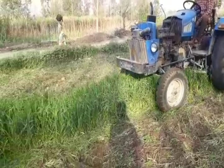 bijnor protest against agricultural laws farmer destroyed his crop ann बिजनौर: कृषि कानूनों के विरोध में किसान ने गेहूं की फसल को ट्रैक्टर से जोता, कहा- काला कानून वापस ले सरकार