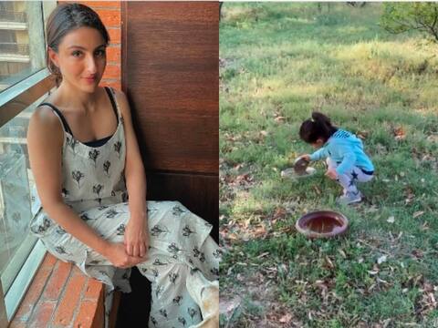 Video: सोहा अली खान की बेटी ने मोर को खिलाया खाना, सोशल मीडिया पर लोगों ने दी ऐसी प्रतिक्रिया Video: सोहा अली खान की बेटी ने मोर को खिलाया खाना, सोशल मीडिया पर लोगों ने दी ऐसी प्रतिक्रिया