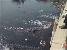 दिल्ली में हो सकती है पानी की किल्लत, हरियाणा ने की आपूर्ति में कटौती