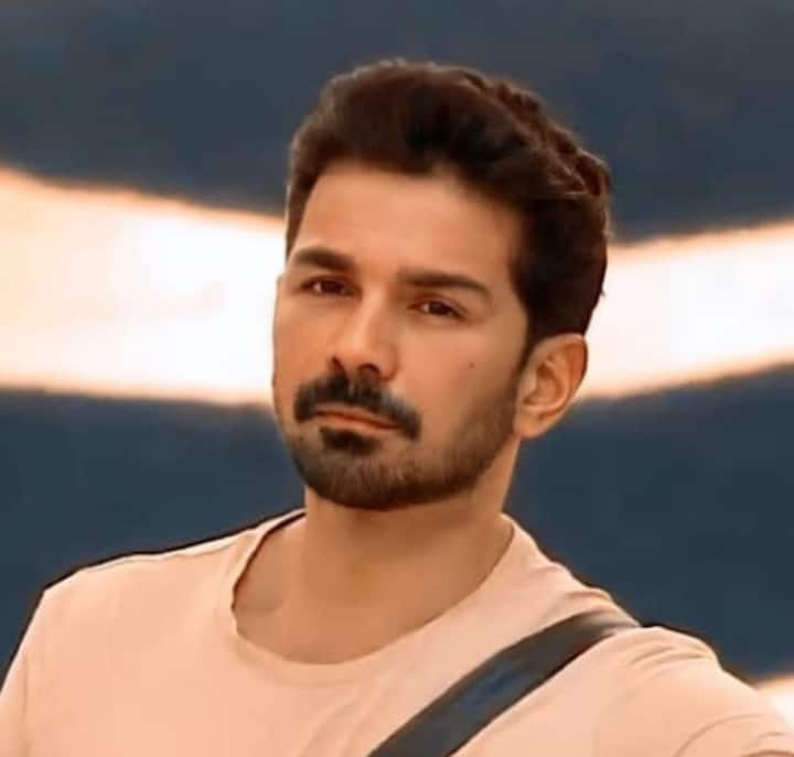 शो के कंटेस्टेंट रहे अभिनव शुक्ला कई सारी फिल्मों के ऑफर्स मिल रहे हैं. बता दें कि उनकी पत्नी रुबीना दिलाइक ने बिग बॉस का खिताब अपने नाम किया है. मीडिया रिपोर्ट्स के मुताबिक, अभिनव जल्द ही कारण जौहर के साथ एक प्रोजेक्ट पर काम कर सकते हैं.