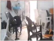 पंचायत चुनाव में टिकटों को लेकर बीएसपी जिला अध्यक्ष के घर में तोड़फोड़, सीसीटीवी में कैद हुई घटना