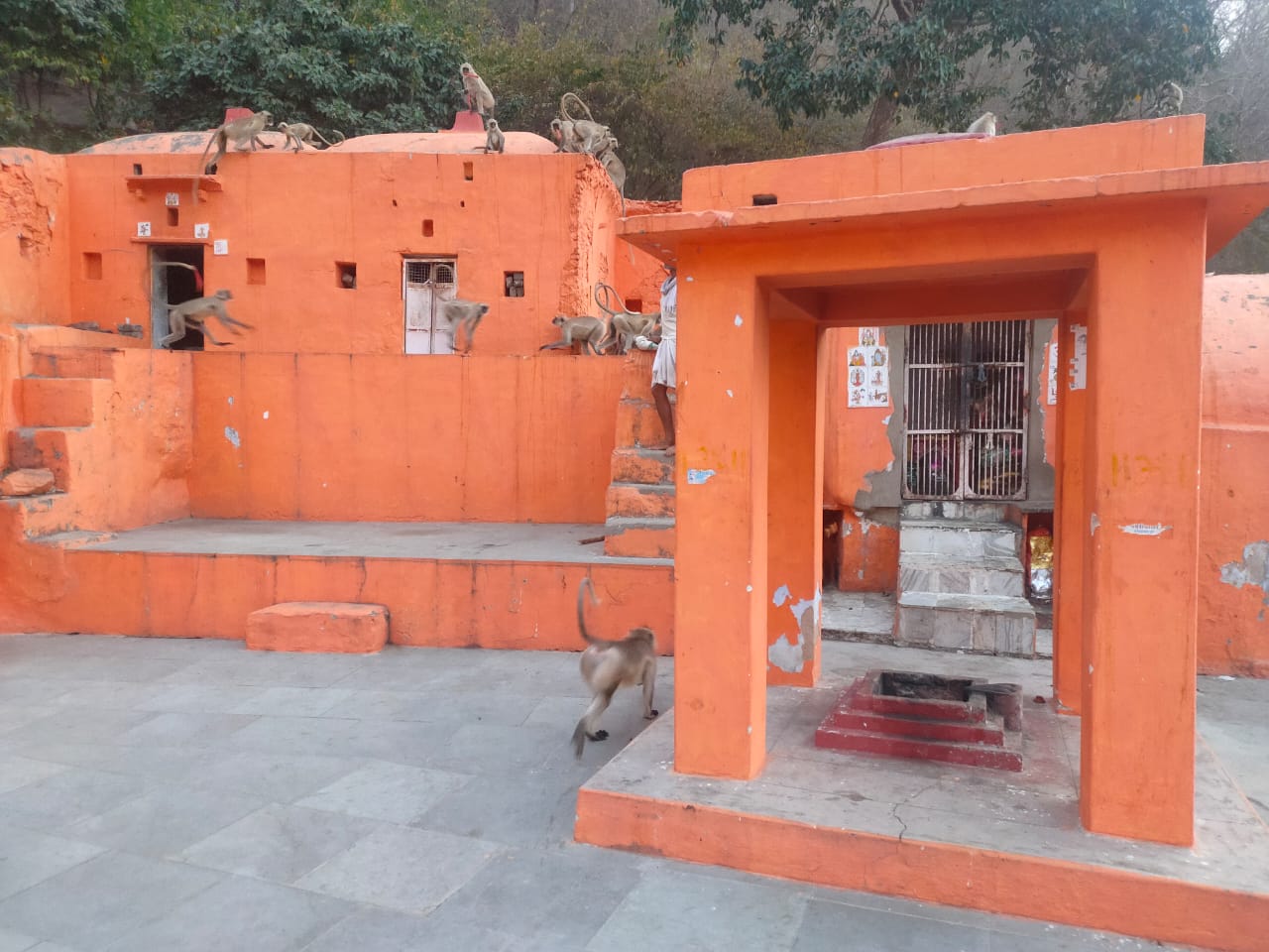 अजमेर: पुष्कर में मौजूद है नीलकंठ महादेव का आकाशीय मार्ग से प्रकट हुआ मंदिर, ऐसा कुंड जहां का पानी कभी नहीं होता खत्म