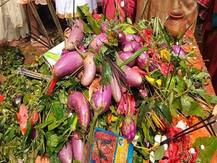 इस मंदिर में श्रद्धालु महादेव पर चढ़ाते हैं बैंगन का चढ़ावा, जानें- क्या है इसके पीछे की मान्यता?