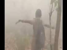 Viral Video: ओडिशा के जंगल में बारिश होते ही नाचने लगी फॉरेस्ट ऑफीसर, जानें क्या है वजह