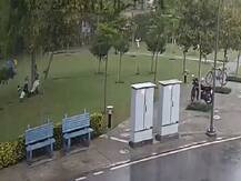 Gurugram Rain Lightning: बारिश से बचने के लिए पेड़ के नीचे खड़े थे चार लोग, अचानक गिरी बिजली