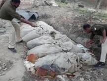 गोरखपुर: पंचायत चुनाव से पहले माफिया सक्रिय, छापेमारी में 45 लीटर कच्ची शराब बरामद