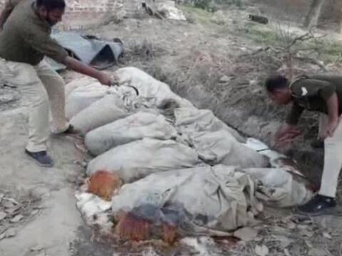 गोरखपुर: पंचायत चुनाव से पहले माफिया सक्रिय, छापेमारी में 45 लीटर कच्ची शराब बरामद गोरखपुर: पंचायत चुनाव से पहले माफिया सक्रिय, छापेमारी में 45 लीटर कच्ची शराब बरामद