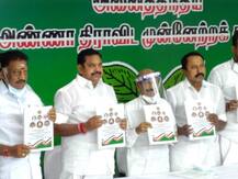 तमिलनाडु: AIADMK का चुनावी घोषणापत्र जारी, हर परिवार को एक सरकारी नौकरी और छह एलपीजी सिलेंडर मुफ्त