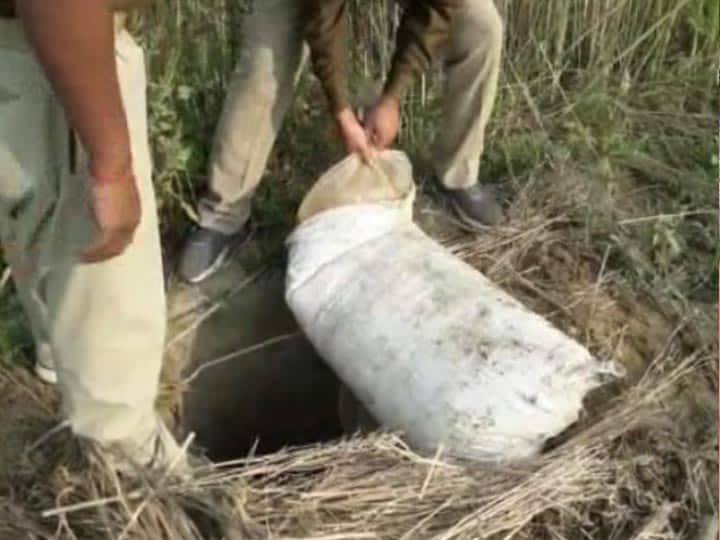 गोरखपुर: 30 लीटर अवैध शराब और एक हजार किलो लहन बरामद, दो महिलाओं के खिलाफ केस दर्ज Police recovered illicit liquor and destroy lahan in gorakhpur ANN गोरखपुर: 30 लीटर अवैध शराब और एक हजार किलो लहन बरामद, दो महिलाओं के खिलाफ केस दर्ज