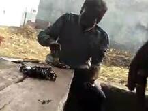 पेशी पर आए बंदी को पुलिसकर्मियों ने ढावे पर करवाई दारू-मुर्गा की पार्टी, वीडियो वायरल