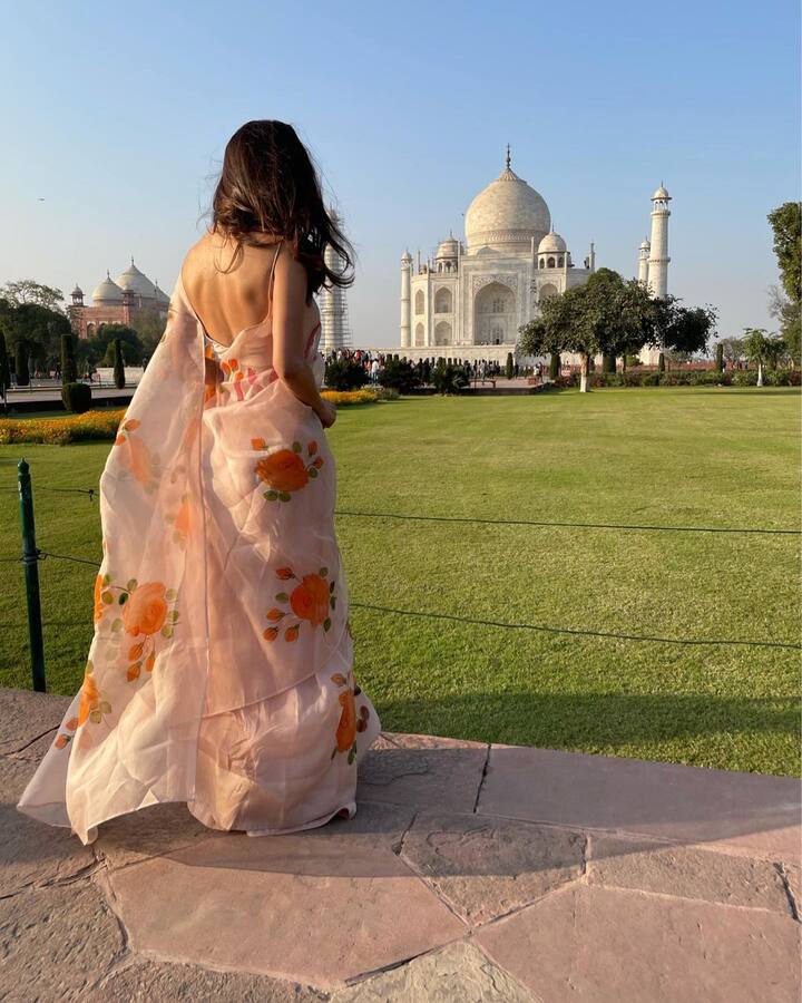 हाल ही में मौनी रॉय ताजमहल देखने पहुंचीं थीं. यहां भी उन्होंंने साड़ी  ही पहनी.
