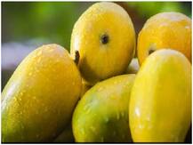 क्या आम खाने से वजन बढ़ता है? जानिए फलों के राजा को खाने का सही तरीका