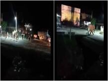 Viral Video: पीछा कर रही भीड़ से डर कर भागा हाथी, विचलित करने वाले वीडियो की हो रही आलोचना