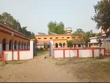 UP: कालेज परिसर में हो रही है गांजे की खेती, आखिर कौन कर रहा है नशे का कारोबार