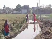 शामली: रास्ते पर भरे पानी से गांववाले हुए परेशान, सरकार को दे डाली पलायन की धमकी