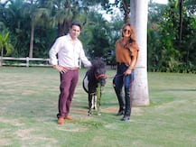 Adar Poonawala ने लंदन में किराए पर ली बेहद महंगी प्रॉपर्टी, हर हफ्ते देंगे 50 लाख रुपये किराया- रिपोर्ट