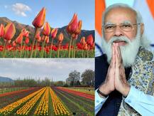Tulip Festival Pics: एशिया का सबसे बड़ा ट्यूलिप गार्डन जनता के लिए खुला, पीएम मोदी ने की ये अपील