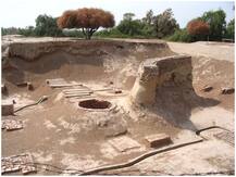 हड़प्पा काल में लोग खानपान के थे शौकीन, मल्टीग्रेन, हाई प्रोटीन वाले 'लड्डू' खुदाई में मिले