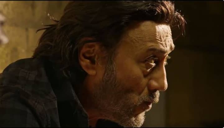 'हीरो' फिल्म आने के बाद जैकी श्रॉफ उस समय जवां दिलों पर छा गए और रातोंरात सुपरस्टार बन गए. 'हीरो' फिल्म की बांसुरी की एक धुन आज भी लोगों को गुनगुनाने पर मजबूर कर देती है. 'हीरो' फिल्म की उस धुन पर जैकी श्रॉफ ने धमाल मचाया ही, उनके बेटे टाइगर श्रॉफ ने भी इस गाने पर थिरककर तहलका मचाया था. 