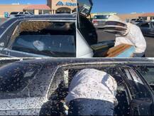 खरीदारी करके लौटे शख्स ने कार में देखा 15 हजार मधुमक्खियों का झुंड, जानें फिर क्या हुआ