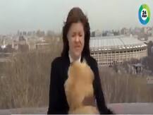 रूस में रिपोर्टिंग के दौरान रिपोर्टर का माइक्रोफोन लेकर भागा कुत्ता, जमकर वायरल हो रहा वीडियो