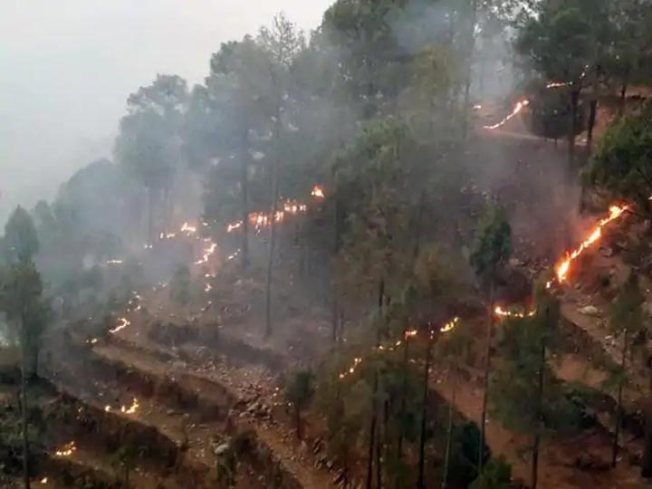 Uttarakhand: Fire in 45 forests, 4 people and 7 animals killed in last 24 hours, central government sent helicopters to extinguish the fire UK Fire: 24 घंटों में 45 जंगलों में लगी आग, 4 लोगों-7 जानवरों की मौत, केंद्र ने आग बुझाने के लिए भेजे हेलिकॉप्टर