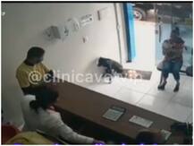 बीमार आवारा कुत्ते का खुद से मवेशी क्लीनिक पहुंचने का अनोखा मामला, डॉक्टरों ने किया ट्यूमर का खुलासा