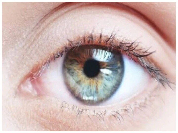 eyes health is also vital, these are effective remedies to uplift vision and improve eyesight शरीर की तरह आंखों की सेहत भी है जरूरी, रोशनी सुधारने और बढ़ाने के लिए ये देसी उपाय हैं कारगर