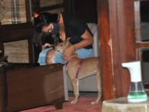 कभी Pet को चूमती तो कभी उसके साथ खेलती दिखीं Malaika Arora, रिप्ड जींस में ऐसा दिखा लुक