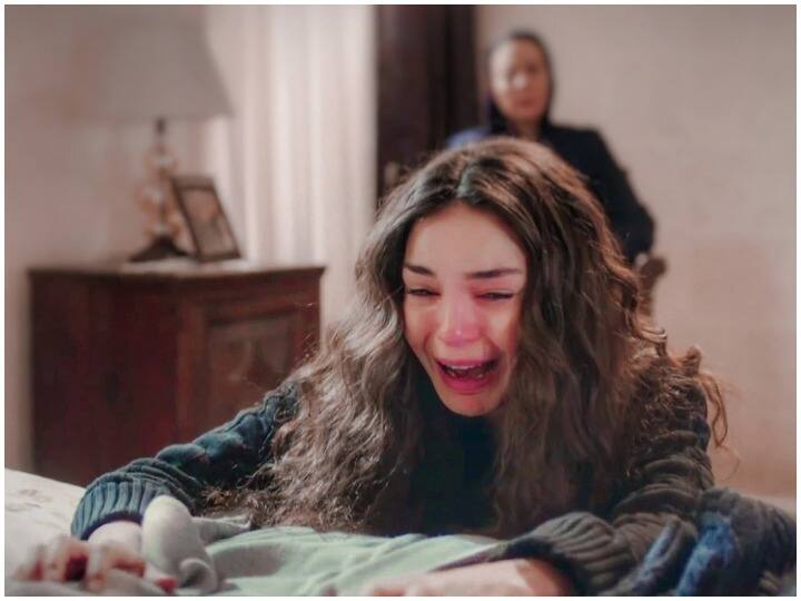 Haemophilia: जानिए इस स्थिति की कम परिचित कुछ हकीकतें, कारण और लक्षण की करें पहचान Haemophilia: Know some facts about this condition, identify causes and signs Haemophilia: जानिए इस स्थिति की कम परिचित कुछ हकीकतें, कारण और लक्षण की करें पहचान