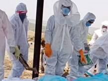 एक ही चिता पर कोरोना से जान गंवाने वाले 8 लोगों का कर दिया गया अंतिम संस्कार, अधिकारी ने बताई ये वजह