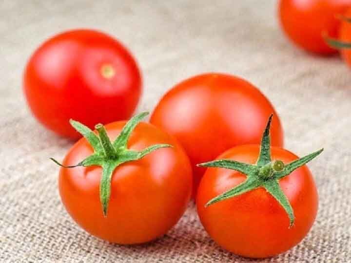 Excess intake of tomatoes causes harm to the body Health Tips: सिर्फ फायदे ही नहीं शरीर को नुकसान भी पहुंचा सकता है टमाटर, जानें कैसे
