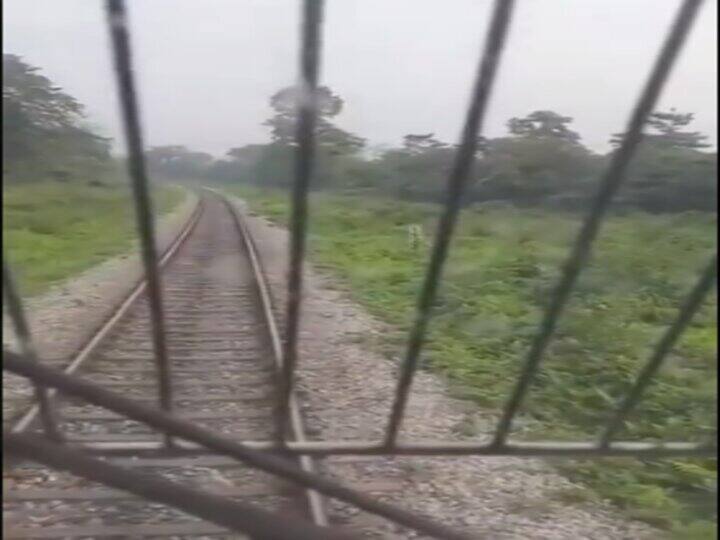 ट्रैक पर हाथी और उसके बच्चे को देख लोको पायलट ने रोकी ट्रेन, अब वीडियो हो रहा वायरल The speed of the train came to a stand after seeing the elephant and its child, the loco pilot stopped the train ट्रैक पर हाथी और उसके बच्चे को देख लोको पायलट ने रोकी ट्रेन, अब वीडियो हो रहा वायरल