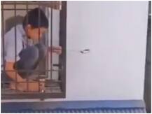 Viral Video: इस बच्चे ने किया दिल जीतने वाला काम, लोग बोले- बड़ों से ज्यादा बच्चों में इंसानियत