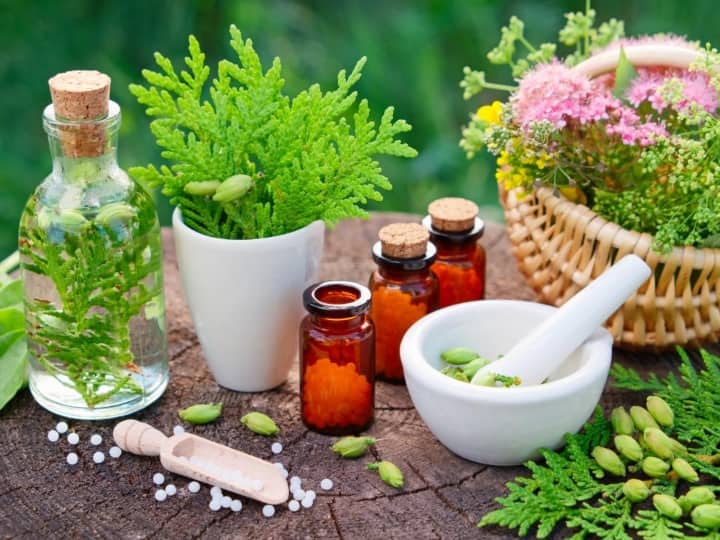 World Homeopathy Day: दुनियाभर में आज मनाया जाएगा वर्ल्ड होमियोपैथी डे, जानिए क्या है इस दिन का महत्व World Homeopathy Day will be celebrated today all over the world know what is the importance World Homeopathy Day: दुनियाभर में आज मनाया जाएगा वर्ल्ड होमियोपैथी डे, जानिए क्या है इस दिन का महत्व