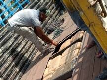 बिहार: ट्रक में तहखाना बनाकर कर लाखों का गांजा लेकर जा रहे थे तस्कर, पुलिस ने किया जब्त