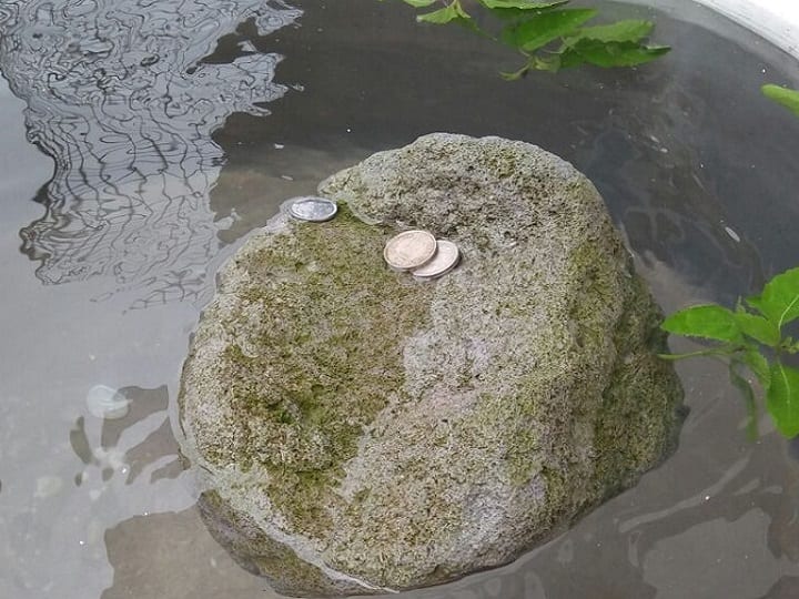 आज भी पानी में तैर रहा है श्रीराम का छुआ पत्थर, हरिद्वार महाकुंभ में बना आकर्षण का केंद्र haridwar stone floating in water people said prays as ram patthar ann आज भी पानी में तैर रहा है श्रीराम का छुआ पत्थर, हरिद्वार महाकुंभ में बना आकर्षण का केंद्र