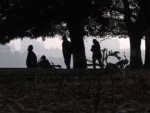 সামান্য বাড়ল শহরের তাপমাত্রা, শীতে কাঁপছে জেলা