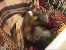 ছত্তিশগড়ে অঙ্গনওয়াড়ি কেন্দ্রে দুধ খেয়ে দুই শিশুর মৃত্যু