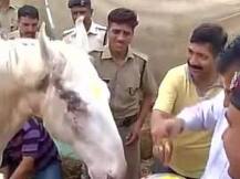 পশু নিগ্রহে জরিমানা ১০ থেকে ৫০ টাকা! বাড়ানোর দাবিতে চিঠি এমপিদের