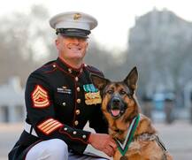 লুক্কা, ‘ব্রিটিশ সেনা’ সম্মানপ্রাপ্ত প্রথম মার্কিন কুকুর 